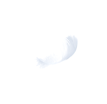 Feather