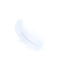 Feather