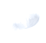 Feather