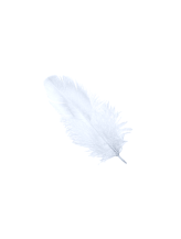 Feather