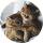 Дарья Тетерина